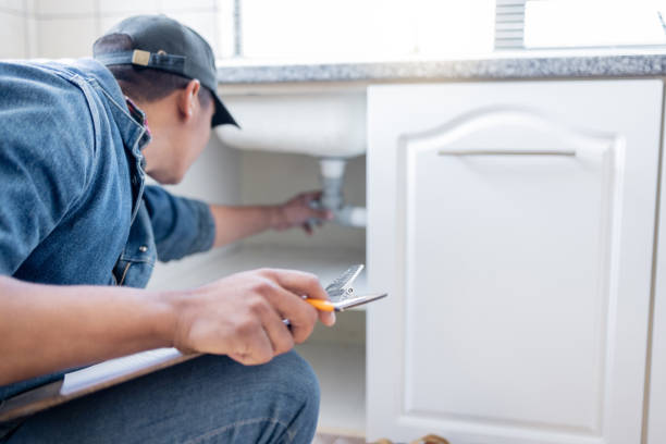 Best Plumbing Services Near Me  in Randolph, WI